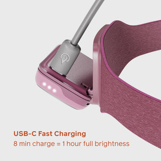 Wild Fig | Range 300 Fast Charging