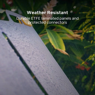 SolarPanel 100 - BioLite